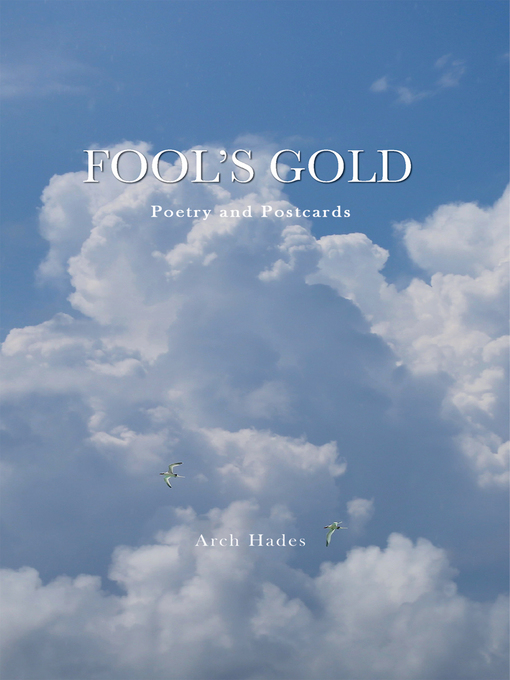 Cover image for Fool's Gold